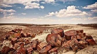 Petrified Forest National Parks Conservation Association
