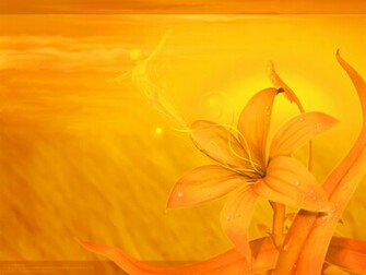 Stock Detail Yellow Textured Wallpaper Official Psds