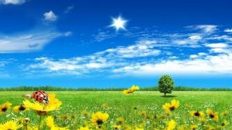 Beautiful Nature Spring 1080p HD Was