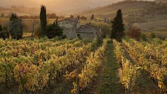 Farm House Vineyard Italy Desktop Pc And Mac Wallpaper