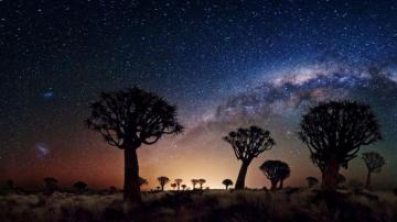 Trees Galaxy Milky Way Stars Sky Desert Wallpaper