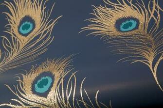 Glitter Peacock By Albany Navy Gold Wallpaper Direct