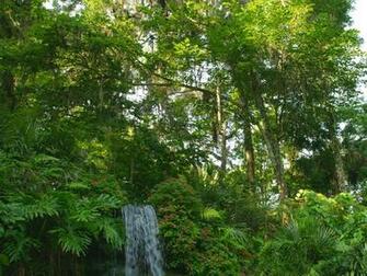 Waterfall Desktop Background Waterfalls And Water Cascade