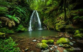 Celebrate St Patrick S Day With These Gorgeous Green Photos