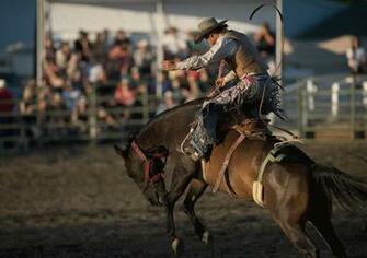 Gallery For Gt Rodeo Wallpaper