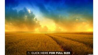 Summer Wallpaper Photos And Desktop Background Up To 8k