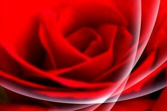 Adobe Photoshop Background