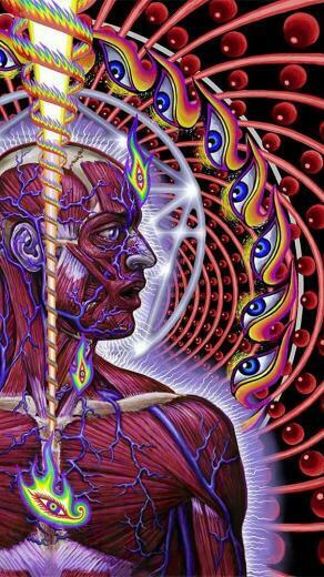 Tool Lateralus Wallpaper Posted By Samantha Cunningham