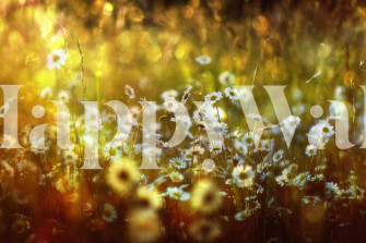 Wonderland Masked Wallpaper