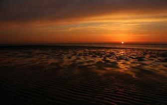 Ocean Beach Orange Horizon Wallpaper