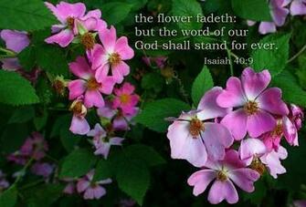 The Grass Withereth Flower Fadeth Because Spirit Of