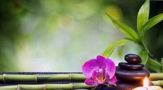 Feng Shui Full HD Wallpaper Wallpaperdx Best