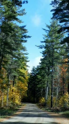 Autumn Back Road iPhone Wallpaper Ipod HD