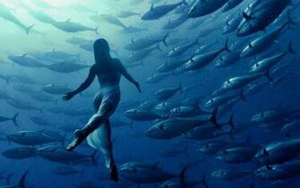 Tuna Computer Wallpaper Desktop Background