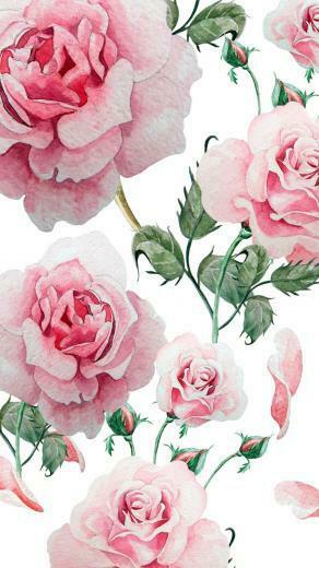 Supreme Floral iPhone Wallpaper Top