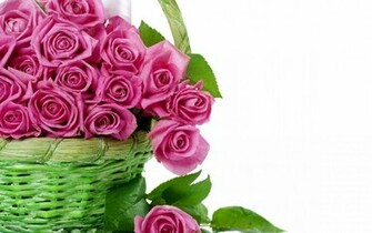 Flower Pc Wallpaper For Desktop HD