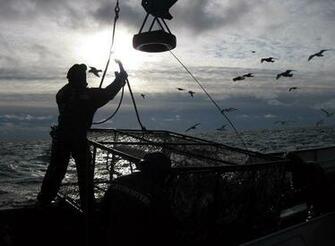 Deadliest Catch Wallpaper Weddingdressin
