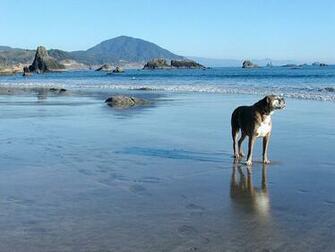 To Our Oregon Pics Features Click On The Link See Full