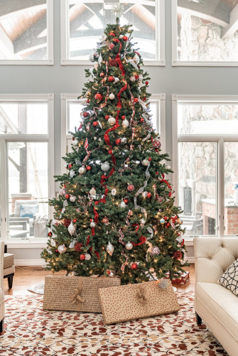 Christmas Tree Pictures Hq Image