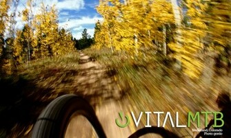 Vital Mtb Desktop Wallpaper Mountain Bikes Feature Stories
