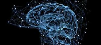 Does The Immune System Influence Schizophrenia