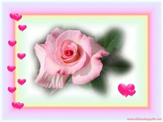 Related Pictures Pink Love Heart Wallpaper For Mobile