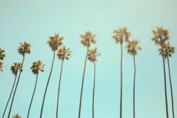 California Wallpaper HD Hq