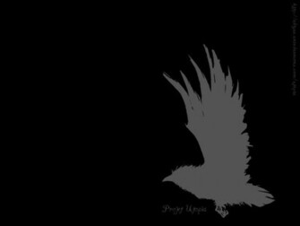 Black Wallpaper For Desktop