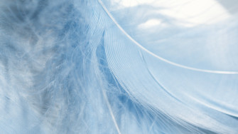 Cute Pastel Blue Aesthetic Wallpaper S