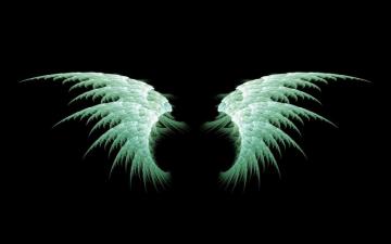 Angel Wings Wallpaper Pictures