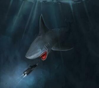 Carcharodon Megalodon Wip Desktop Background Sharks