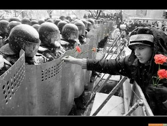 Riot Trooper Wallpaper Flowers Contributin