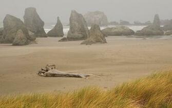 Oregon Coast Wallpaper Desktop