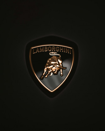 Lamborghini Logo Pictures Image
