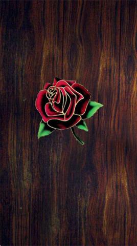 American Beauty iPhone Wallpaper I Made Gratefuldead