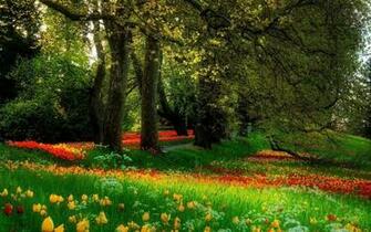 Lush Greenery Pictures Beautiful Gardens Wonderwordz