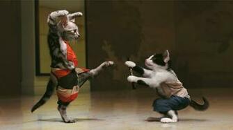 Karate Kittens Wallpaper