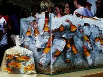 Ice Beers Fish Party Wallpaper