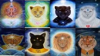 Lyran Feline Race Lion People Everything You Wanted To Know