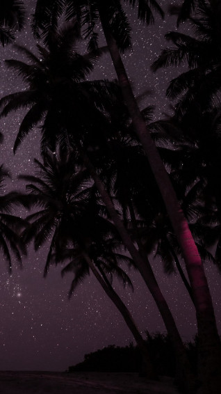 iPhone Wallpaper Pink