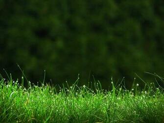 HD Nature Wallpaper For Mac Collection