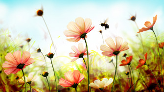 Wallpaper Flowers 5k 4k 8k Spring Art Nature