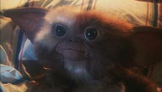 Gizmo Gremlins Wallpaper