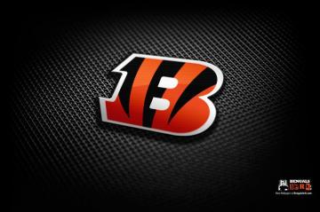 Cincinnati Bengals Nfl Football Wallpaper HD Desktop And