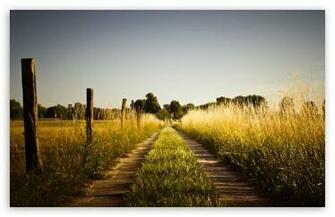 Country Road Late Summer HD Desktop Wallpaper High Definition