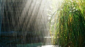 Fall Wallpaper Rainy Day