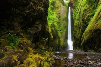 River Mountains Forest Nature Gorge Oregon Wallpaper Background