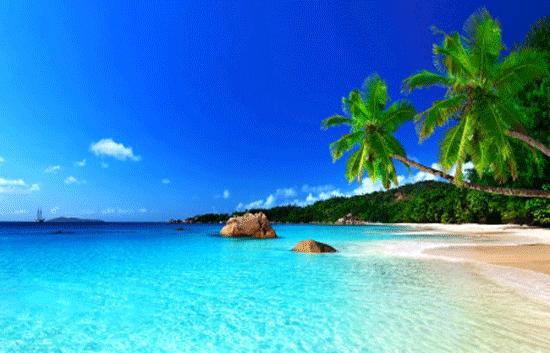 Tropical Beach