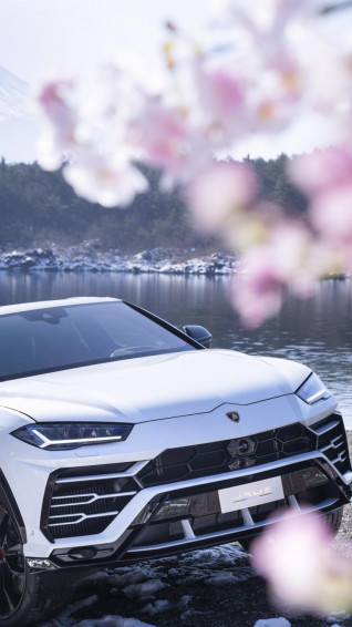 Wallpaper Off Road White Lamborghini Urus