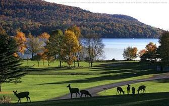 Love U Wallpaper Central Park